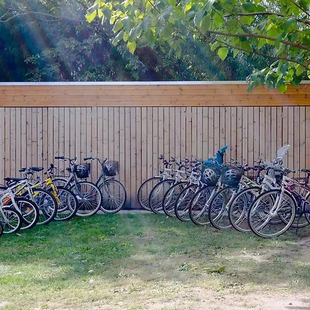 Babi - Babi Vendeghaz 3* بالاتونفوريد